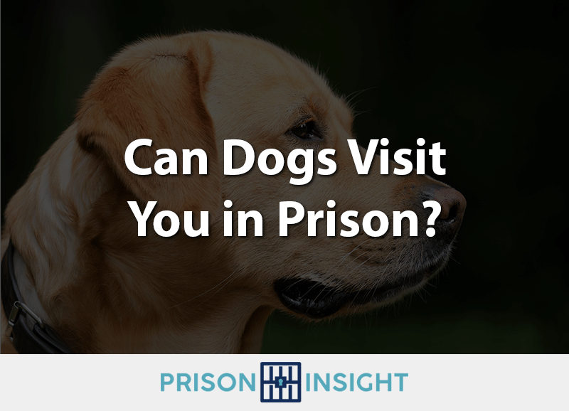 Can Dogs Visit You In Prison? - Inmate Lookup