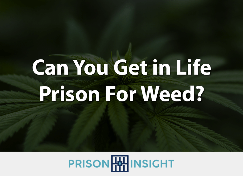 Can You Get Life In Prison for Weed? - Inmate Lookup