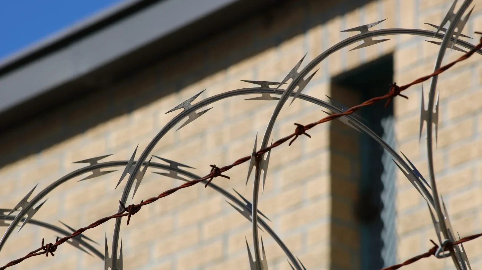 Wires around a prison building. Lane Garrison