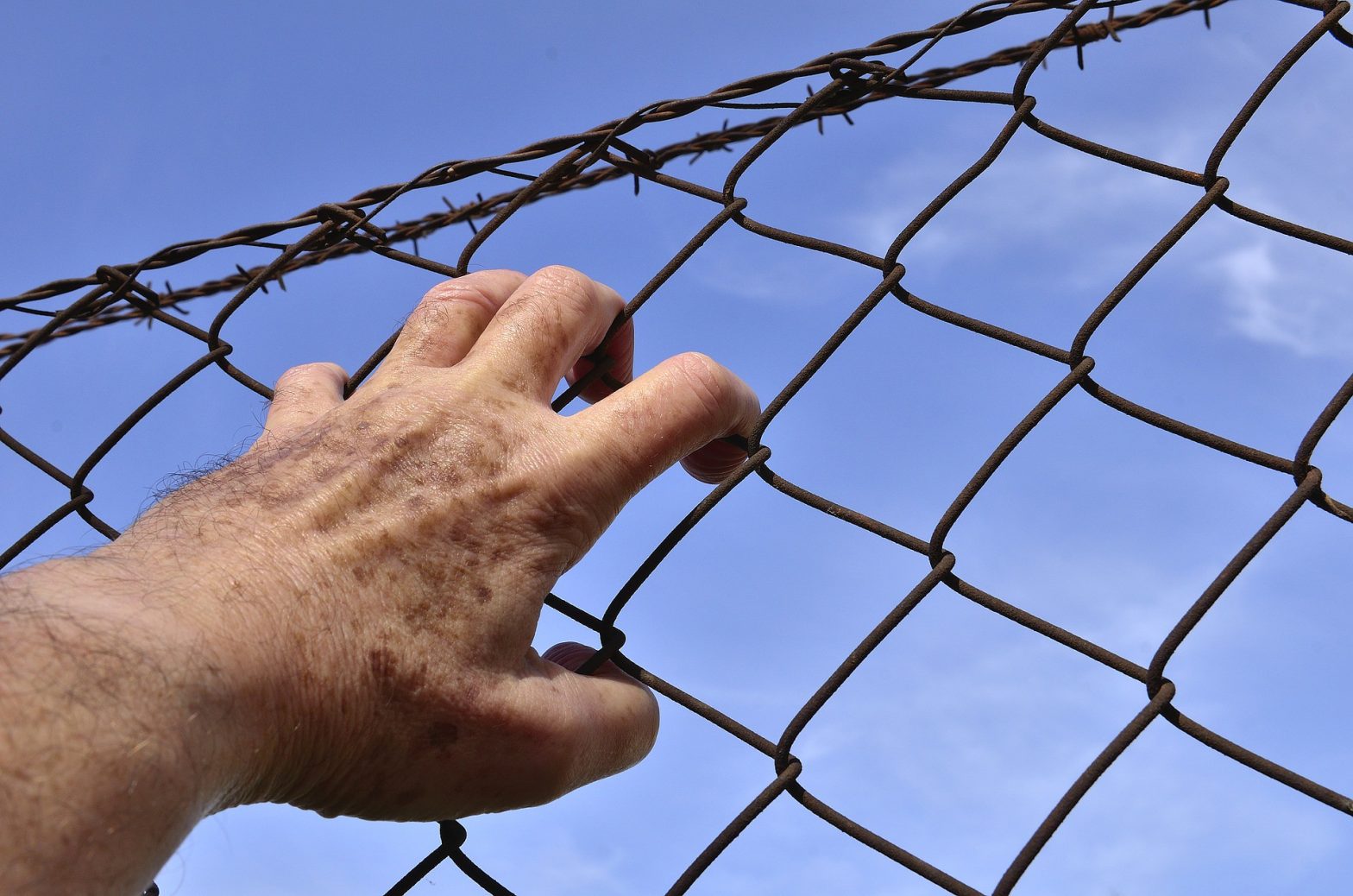 Prisoner trying to escape and grabbing a chain link fence. News - David Atkins