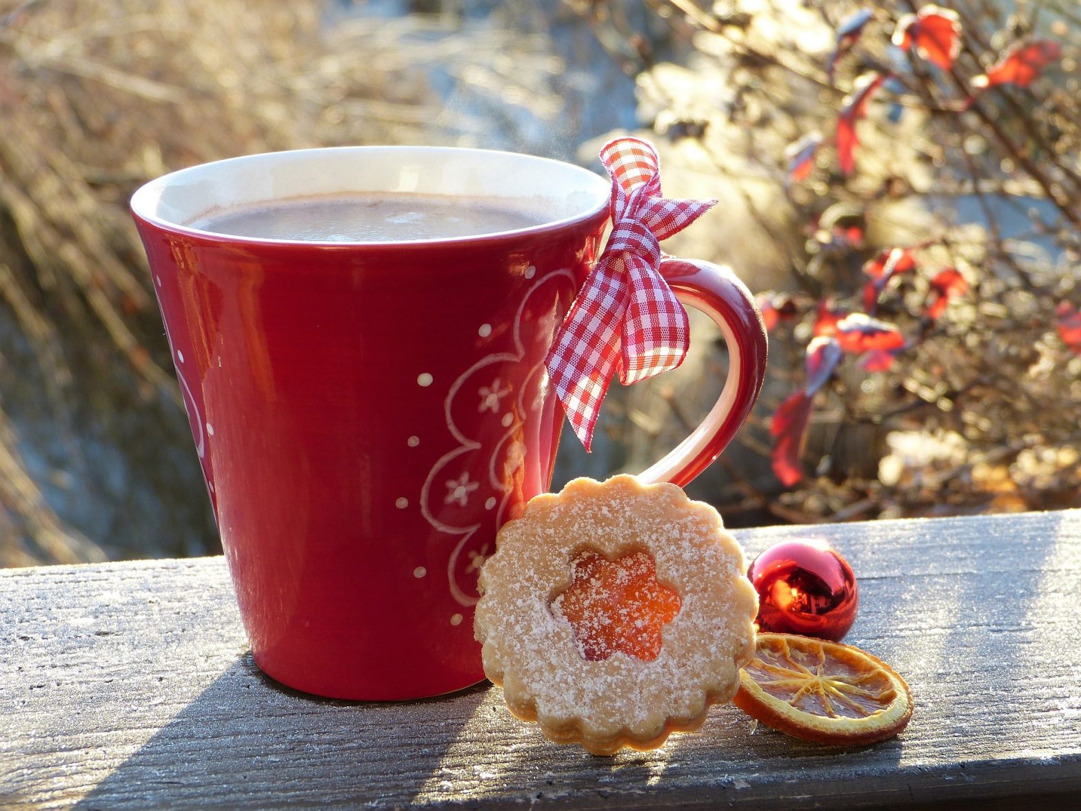 A cup of hot cocoa and cookies on a table in an outdoor setting. News - Festive Atmosphere at Frederick County Adult Detention Center Courtesy of Nonprofit